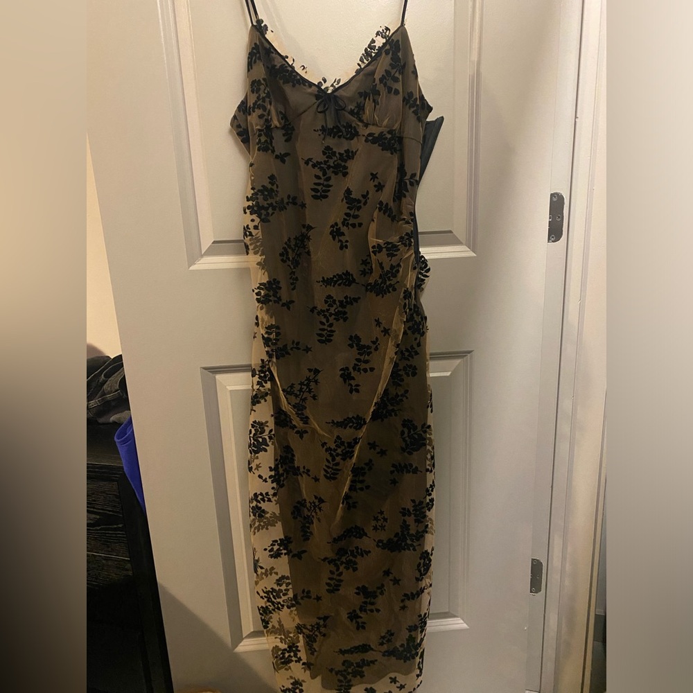 Brown/black lace dress with cute bow detail from Zara